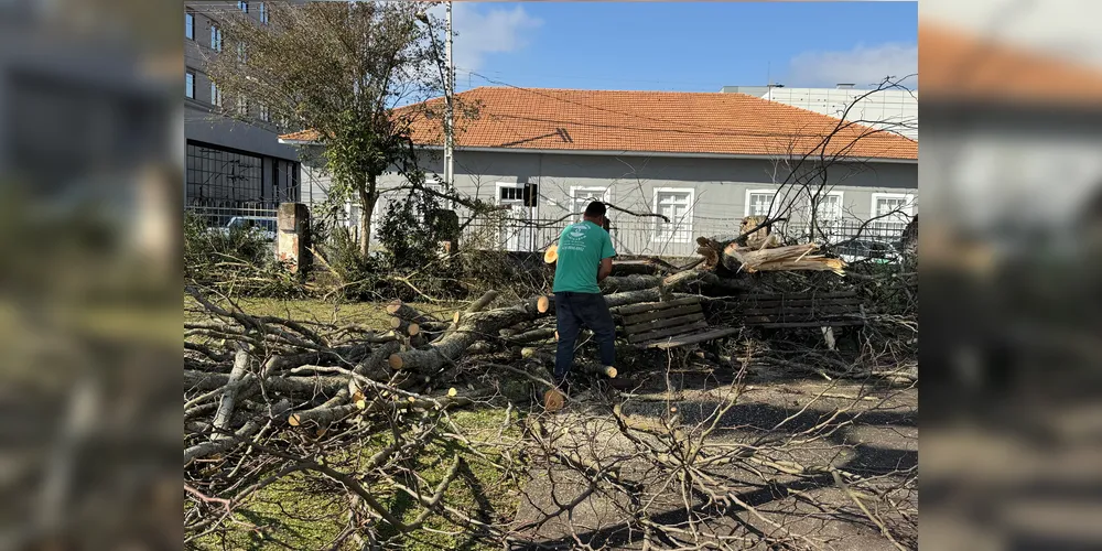 Atualmente, as árvores presentes no entorno têm causado diversos problemas