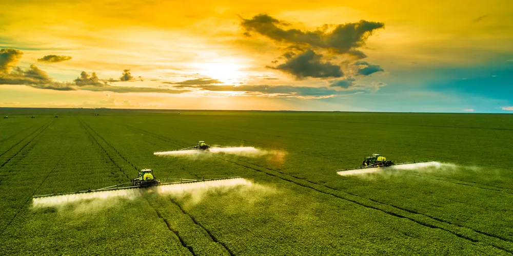 Fenômeno deve favorecer plantação