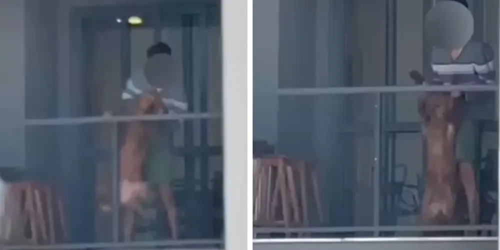 A cena foi filmada por uma testemunha que acionou uma equipe defensora da causa animal