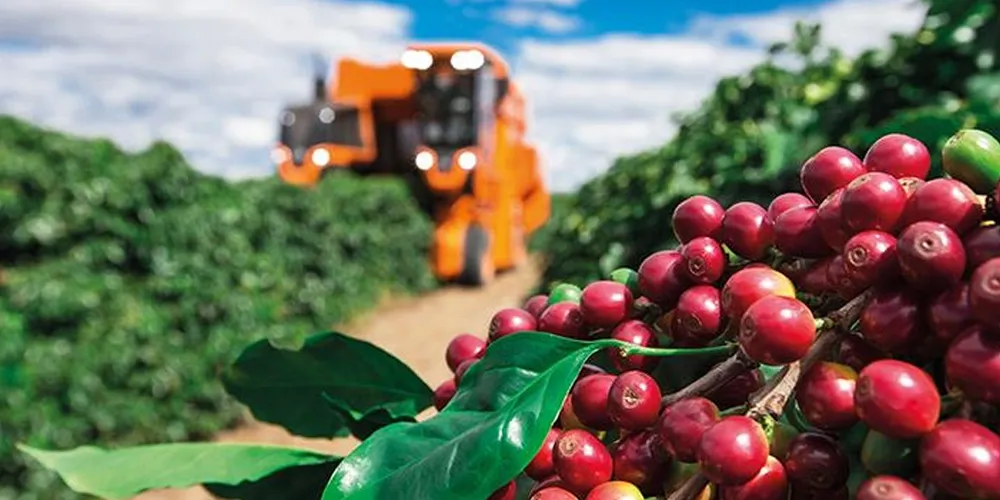 Brasil exportou US$ 513,83 milhões em café não torrado para o mercado árabe em 2024