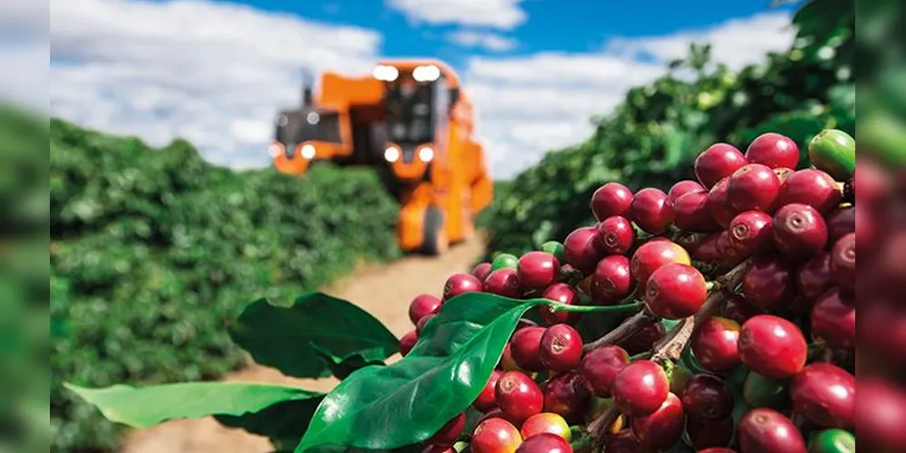 Brasil exportou US$ 513,83 milhões em café não torrado para o mercado árabe em 2024