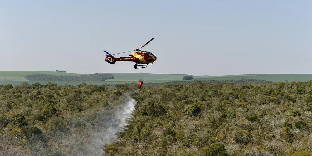 Iniciativa busca restaurar ambientalmente o parque em até cinco anos