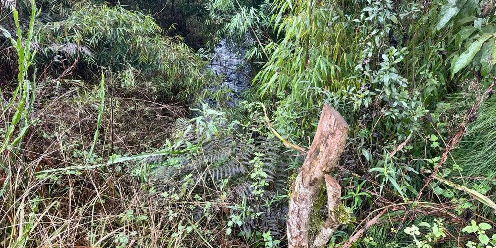 O crime aconteceu na Serra da Esperança