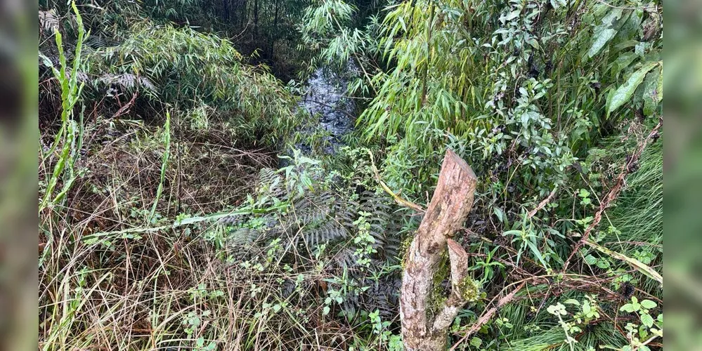 O crime aconteceu na Serra da Esperança