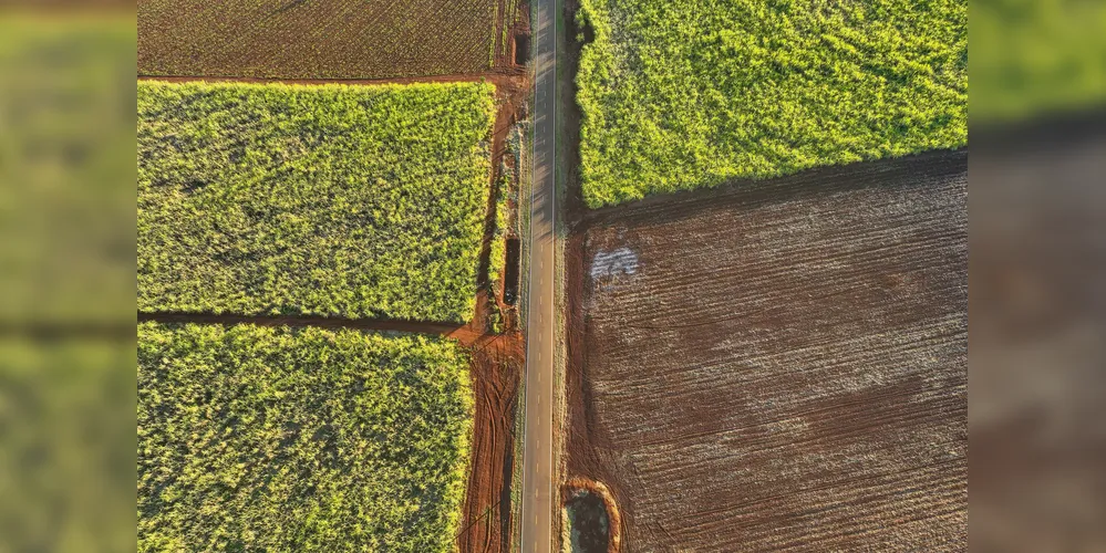 Paraná alcança melhor condição das rodovias dos últimos 23 anos