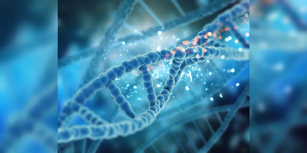 As descobertas ocorreram através de achados e testes de DNA