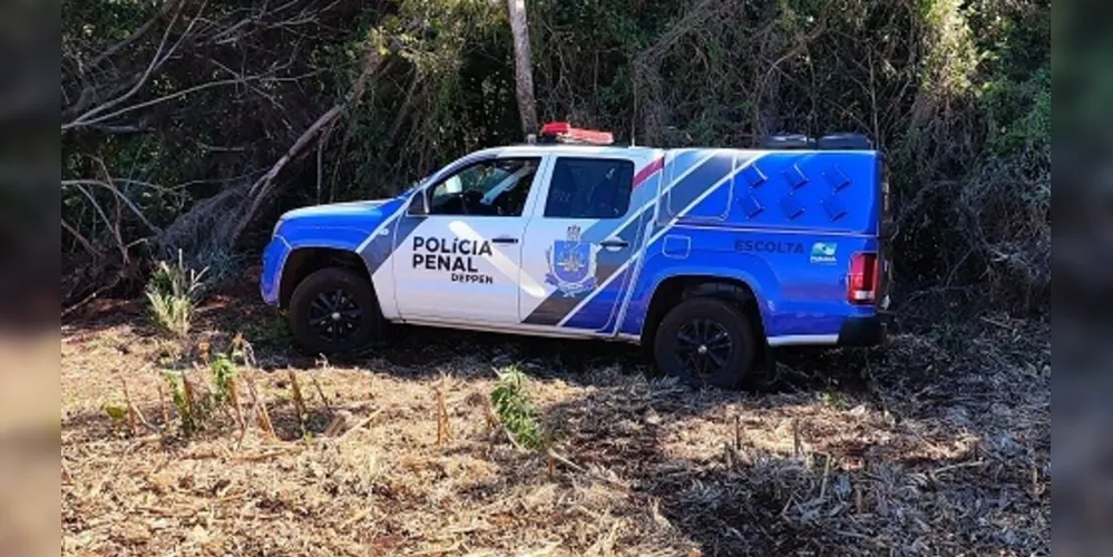 A dinâmica da fuga está sendo apurada pela PPPR