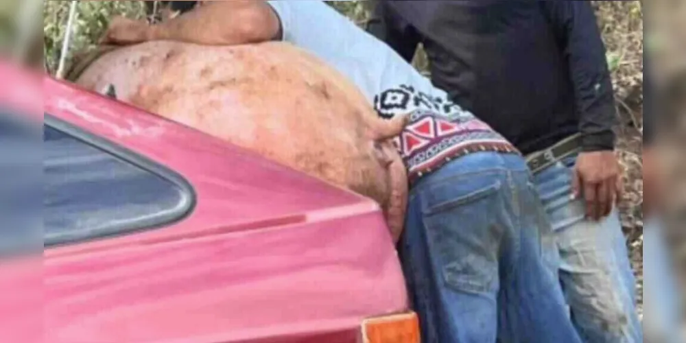Ocorrência foi registrada nessa madrugada na zona rural de Ipiranga