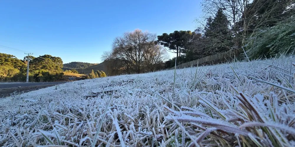 Serras catarinense e gaúcha devem registrar novos episódios de geadas