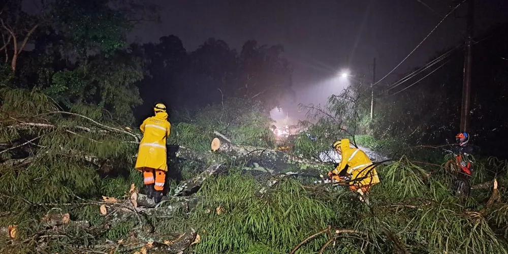 As quedas de árvores dificultaram o tráfego de veículos
