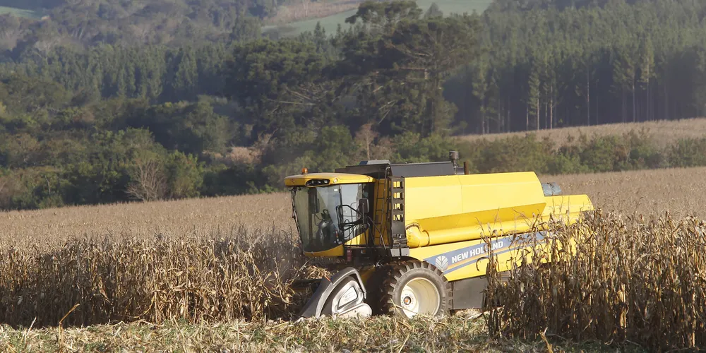 Colheita de milho na região de Campo Mourão, norte do Paraná