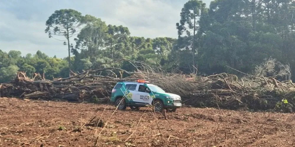 Multas foram aplicadas, superando R$ 110 mil