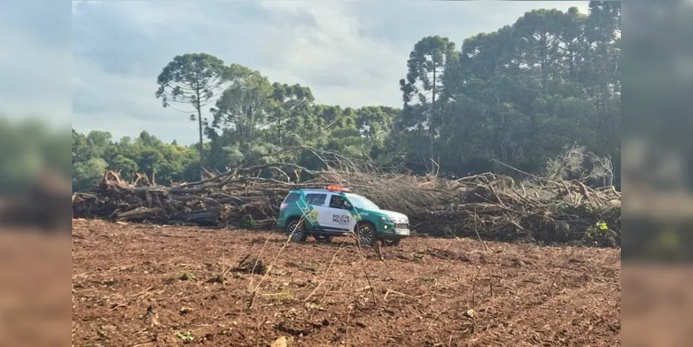 Multas foram aplicadas, superando R$ 110 mil