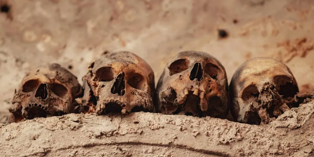 DNA ancestral revela quando animais começaram a passar doenças para humanos