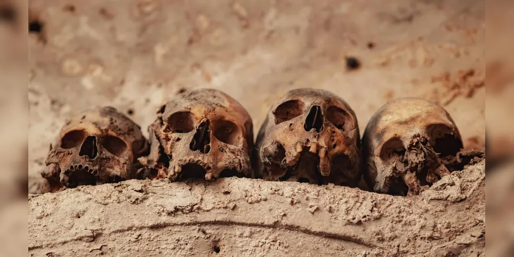 DNA ancestral revela quando animais começaram a passar doenças para humanos