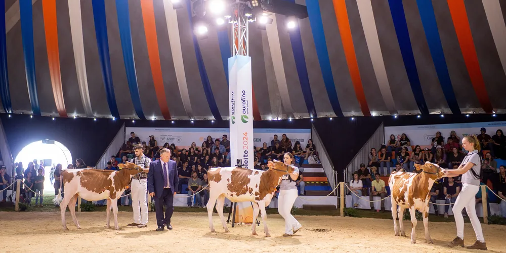 Evento contará com mais de 350 expositores