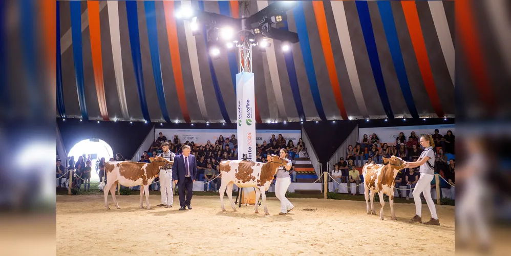 Evento contará com mais de 350 expositores