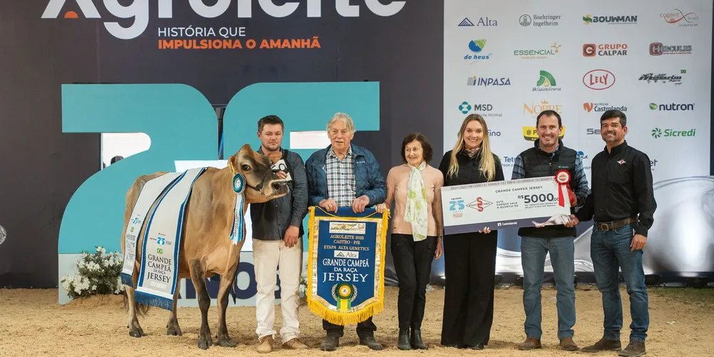 Campeã da raça Jersey