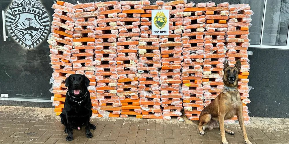 Em 2024, foram apreendidas 53,9 toneladas de maconha e 699,4 quilos de cocaína