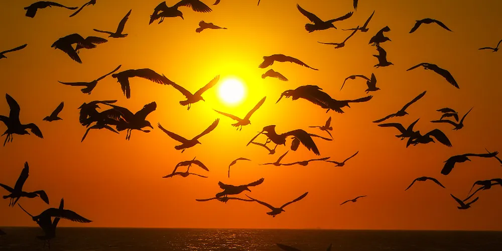 Temperaturas sobem durante a tarde nos próximos dias