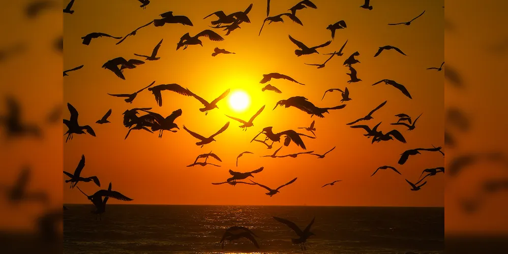 Temperaturas sobem durante a tarde nos próximos dias