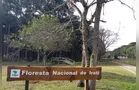 Estado oficializa o Território Turístico Terra dos Pinheirais para impulsionar o setor