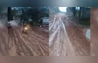 Chuvas atrapalham a rotina de moradores na Nova Rússia; veja