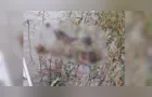 Urgente: corpo em decomposição é encontrado boiando em Uvaia