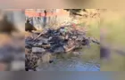 Guilherme Mazer denuncia problemas ambientais no Rio Tibagi