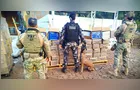 ‘Água batizada’: polícia apreende 1 tonelada de maconha na BR-277
