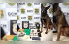‘Bolt’ localiza mais de 95 comprimidos de ecstasy em Ponta Grossa