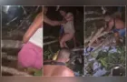 Árvore gigante cai sobre cabaré e casal é resgatado sem roupa