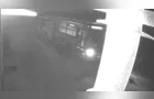 Cão é atropelado por ônibus, não resiste e morre; veja vídeo