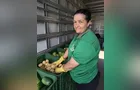 Feira Verde estará na 'Marina' e mais 11 vilas; veja sua rua