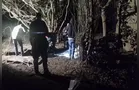 Mãe, bebê de 2 meses e homem são brutalmente assassinados