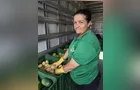 Feira Verde estará no 'Shangrilá' e mais 12 vilas hoje; veja o horário