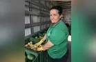 Feira Verde estará no 'São Francisco' e mais 13 vilas hoje; veja sua rua