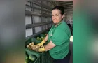 Feira Verde estará na 'Marina' e mais 11 vilas; veja sua rua