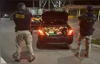 PRF e PM apreendem 200 quilos de maconha e recuperam veículo roubado na BR-277