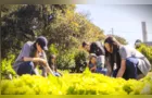 Colégio Agrícola da UEPG abre inscrições; veja como participar