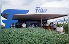 Frísia aumenta produtividade de soja em quase 10% na safra 2024/25