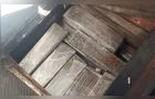 Operação da Polícia Federal em Curitiba apreende 1,8 tonelada de maconha em ônibus