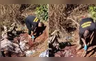 Jovem desaparecido há dez dias é encontrado sem vida em Imbituva