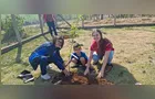 Expo&Flor vai plantar mais de 300 mudas de árvores em PG