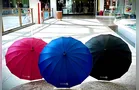 Promoção do Palladium oferece guarda-chuva exclusivo; veja como ganhar
