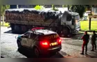 Transporte irregular de palmito termina com multa de R$ 1,7 mi no PR
