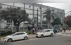 Manifesto pede aumento de castrações de animais abandonados em Ponta Grossa