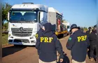 PRF escolta elefanta em travessia do PR ao Mato Grosso rumo a santuário