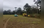 Homem é preso e autuado em R$ 7 mil por crime ambiental em Irati