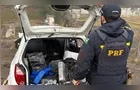 PRF apreende 230 kg de maconha na BR-277, em Teixeira Soares